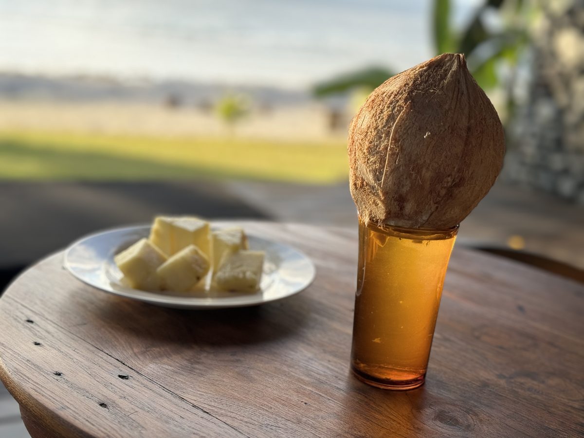 Fresh coconut and papaya